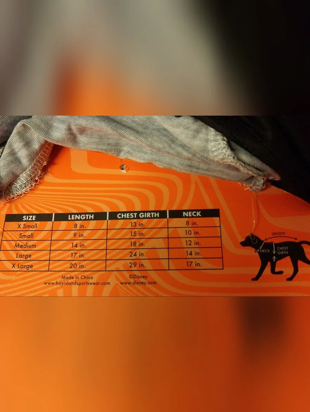 Disney Gimme Candy! Halloween Dog Tee - Black & Orange
